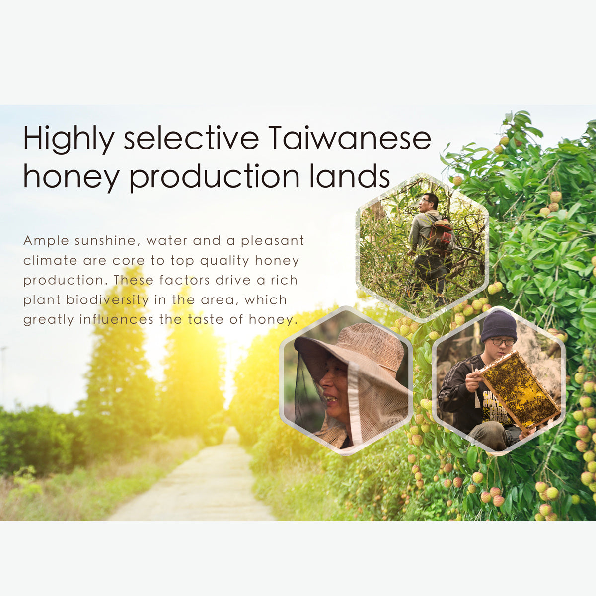 700ml Taiwan Honey by Beetouched | Halal-Certified