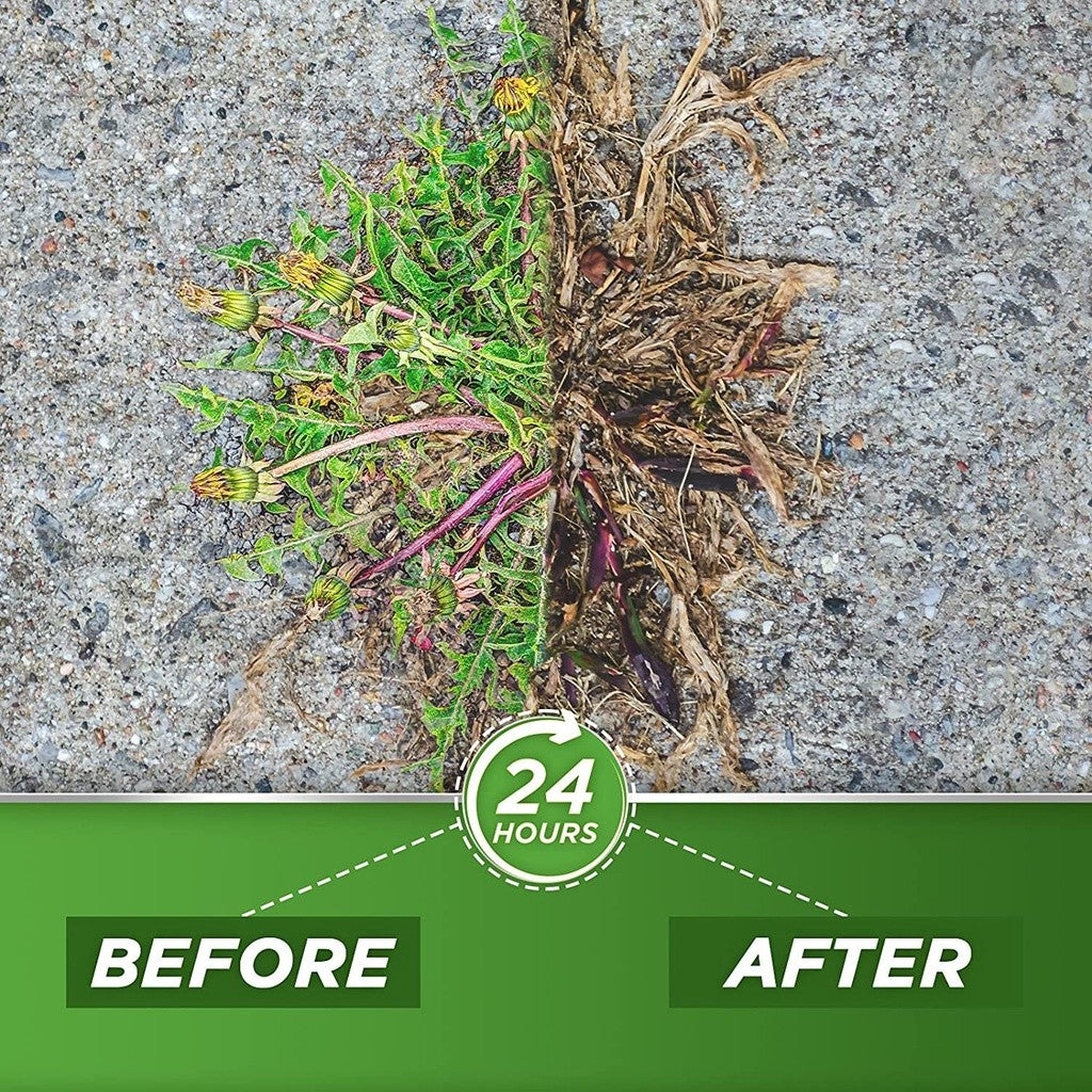 Green Gobbler 20% Vinegar Weed and Grass Killer Spray 32oz/946ml)