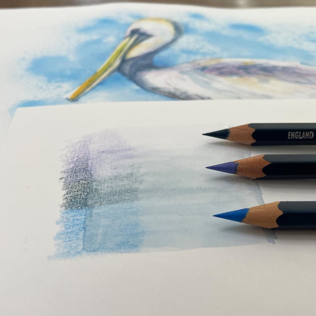 Derwent Watercolour Pencils Tin (12 Colours) Water-Soluble Blendable Artist Set