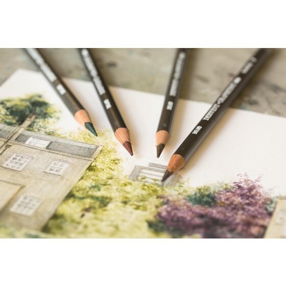 Derwent Graphitint Colour Pencils Tin (12 Colours) Water-Soluble Graphite Pencils