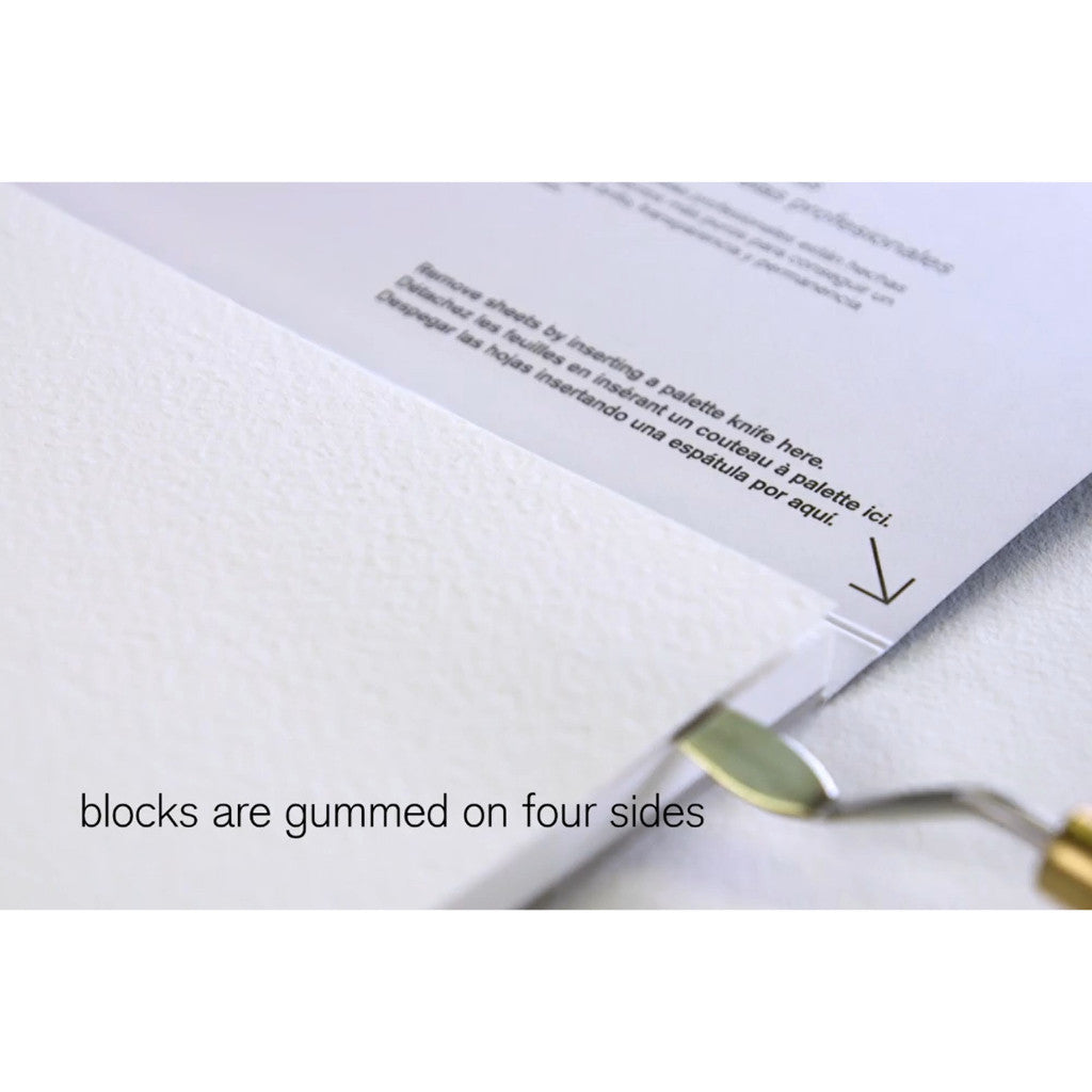 Winsor & Newton Professional Watercolour Block 20 Sheets | Hot Press | 10x14 Inches | 300gsm