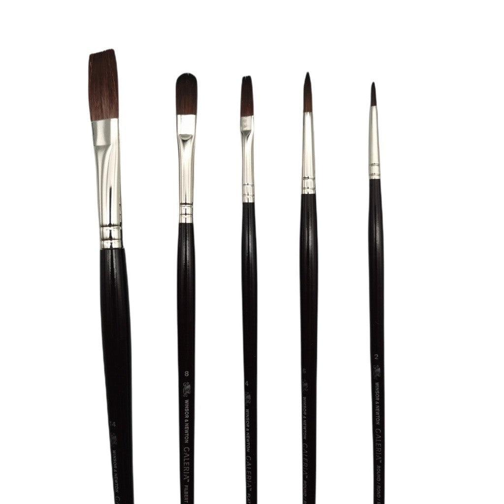 Winsor & Newton Galeria 5 Pieces Brush Set | Acrylic Oil Brush | Long Handle Versatile