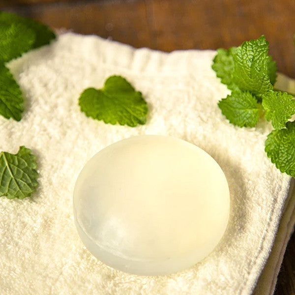 Aloe Vera Soap by Leezen – Gentle Moisturising Cleansing Bar for Daily Face & Body Care (100g)