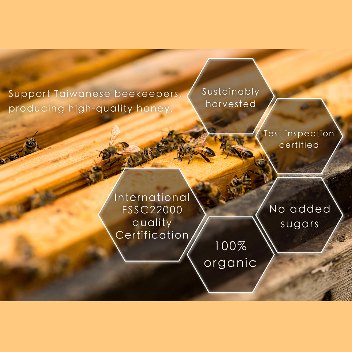 700ml Taiwan Honey by Beetouched | Halal-Certified