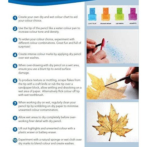 72 Derwent WaterColor Pencils Tin Set Sturdy Precise Professional Beginner Set Colour Pencil Smooth Vers