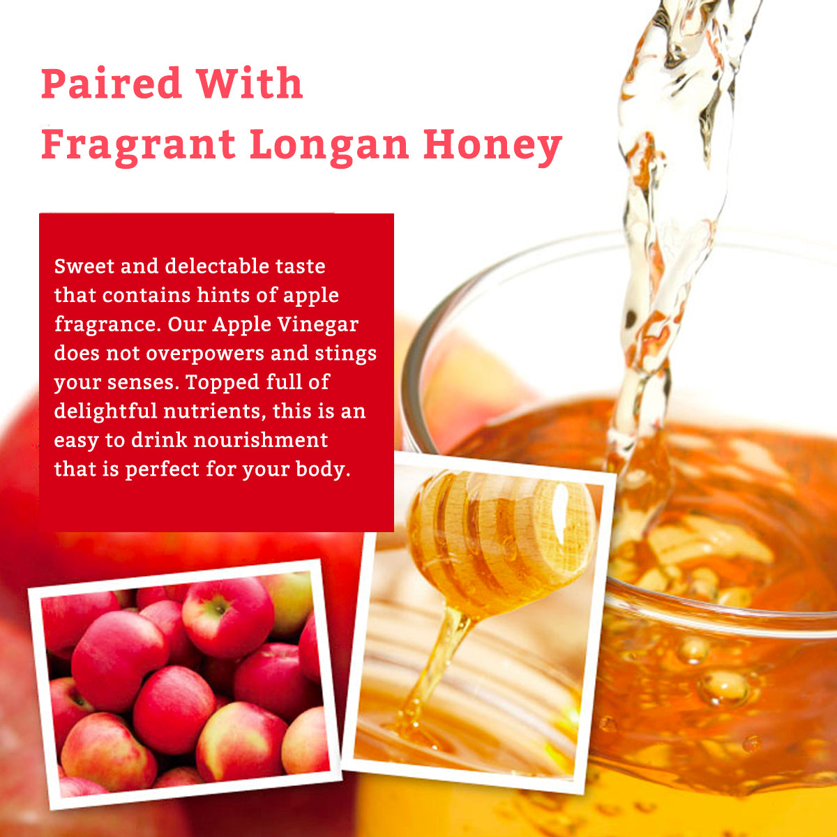 Honey Apple Cider Vinegar by Beetouched [500ml]