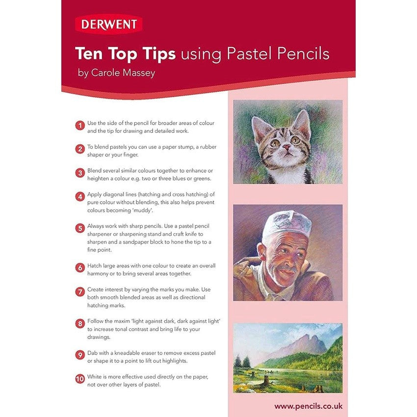 Derwent Pastel Pencils [36 Count]