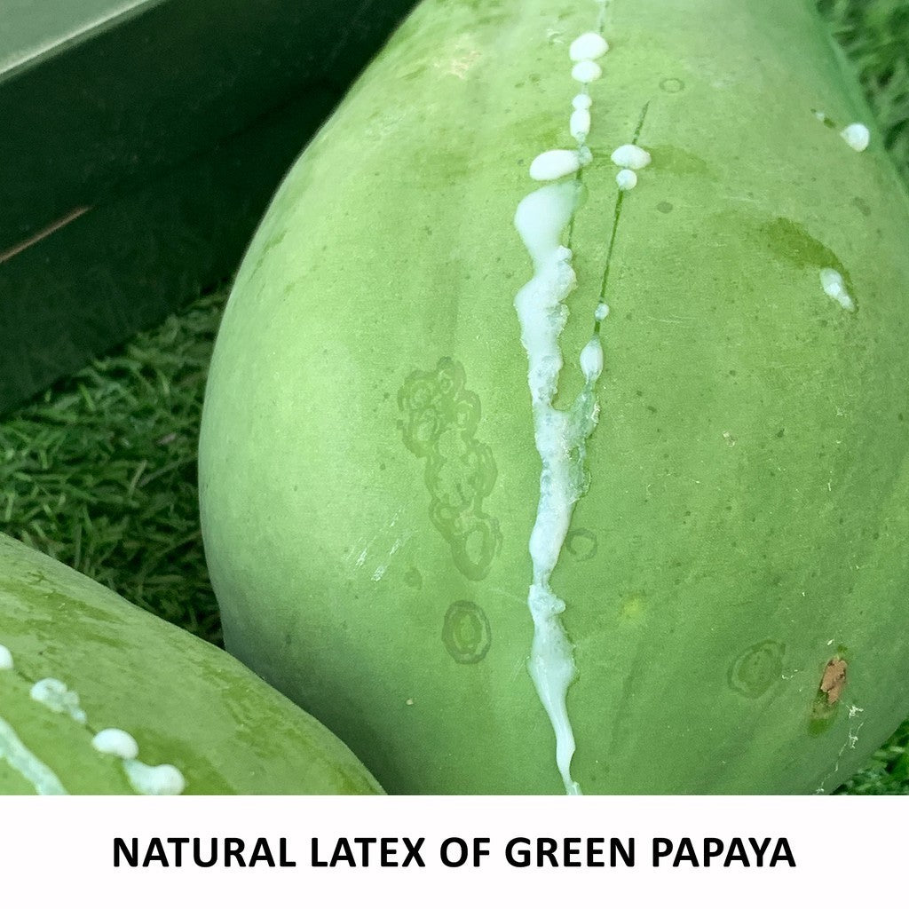 Titi Eco Farm Certified Organic Papaya Powder with Papain Enzyme [Bottle/Sachets]