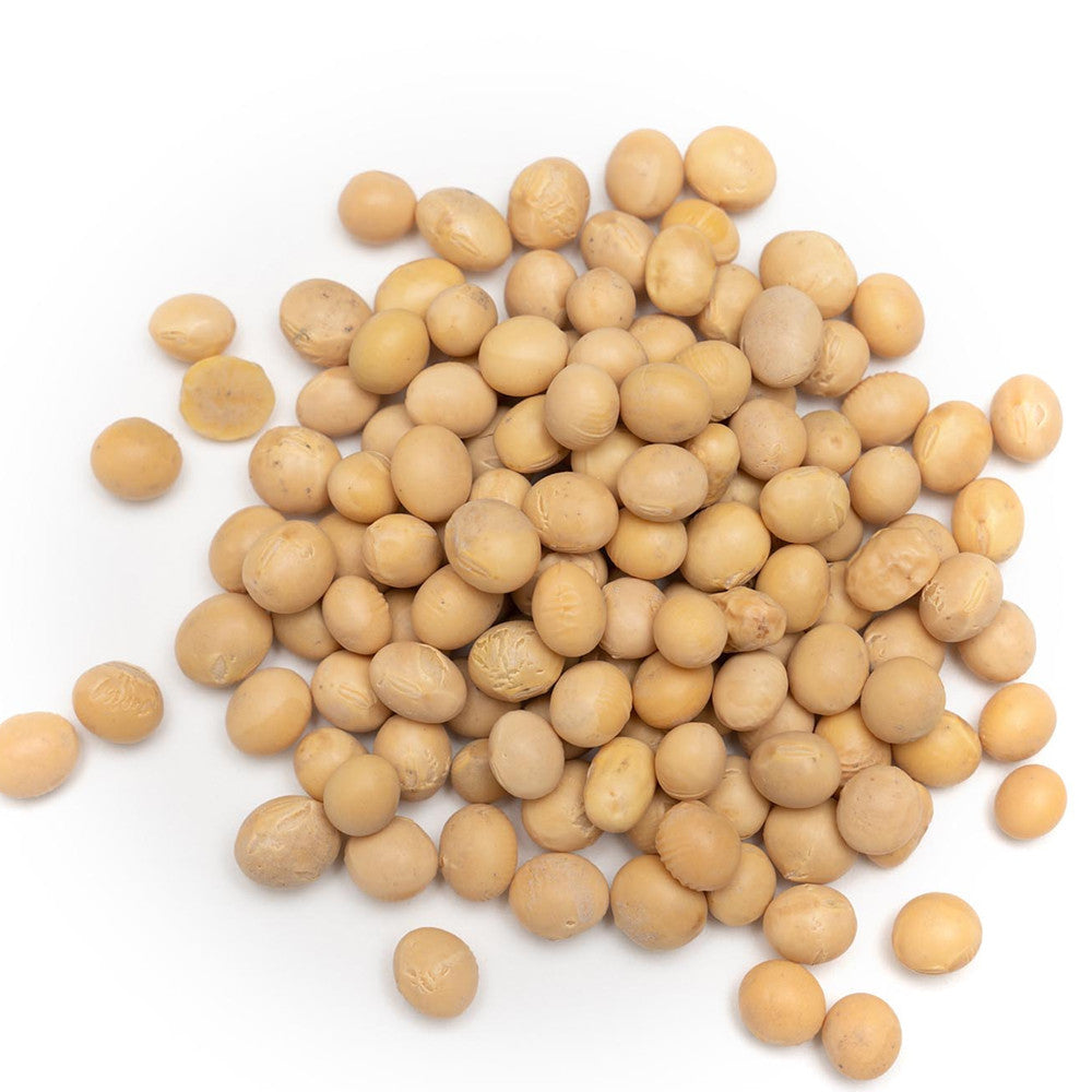 Radiant Whole Food Organic Soya Beans 500g | High Protein Meat Alternative | Non-GMO