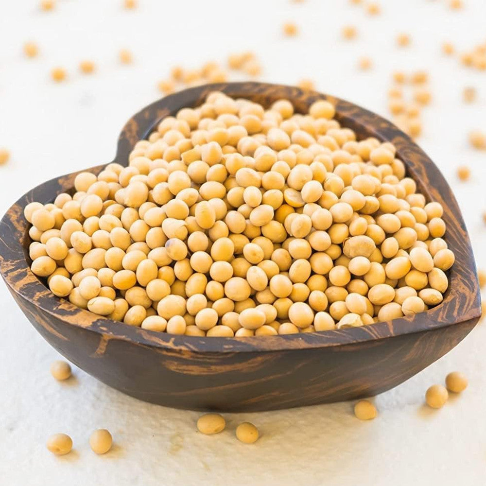 Radiant Whole Food Organic Soya Beans 500g | High Protein Meat Alternative | Non-GMO