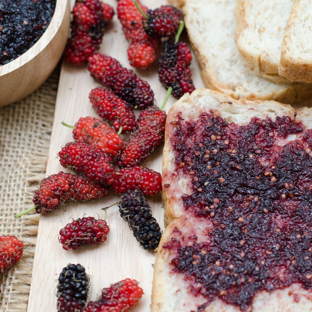 Leezen Organic Leezen Mulberry Jam (190g) | Made from Natural Pesticides Free Fruit