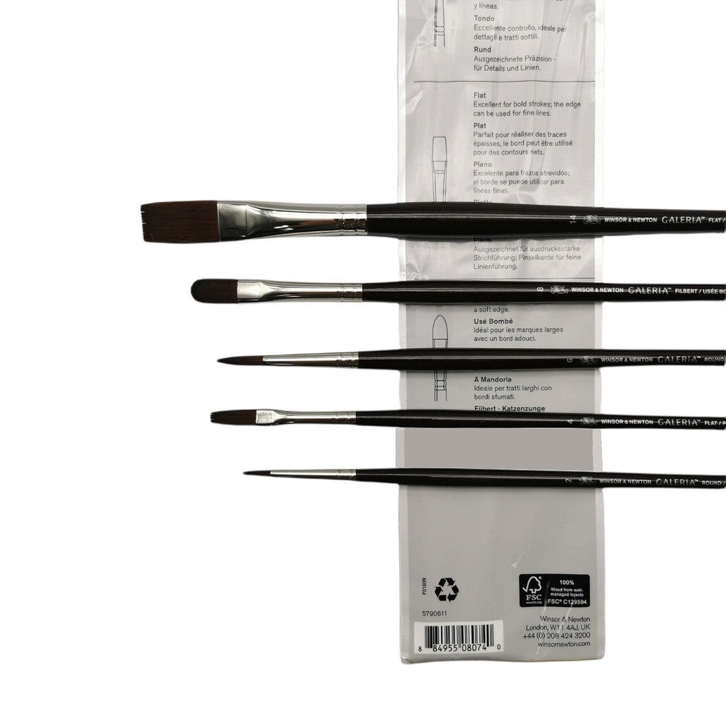 Winsor & Newton Galeria 5 Pieces Brush Set | Acrylic Oil Brush | Long Handle Versatile