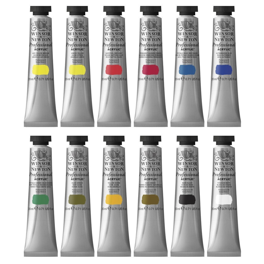 Winsor & Newton Professional 12 Acrylic Paint Set 20ml Tubes | Artist Grade High Pigments