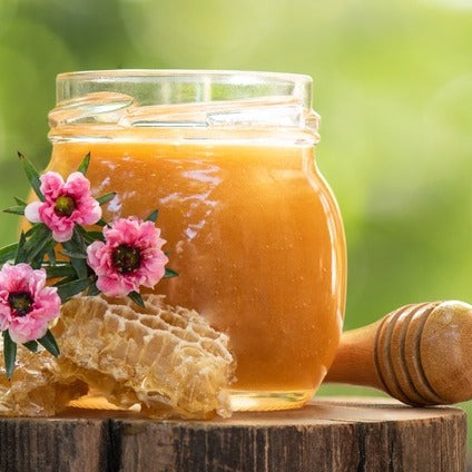 Raw Wildflower Honey from Western Australia by ZeezBeez [250/500g]