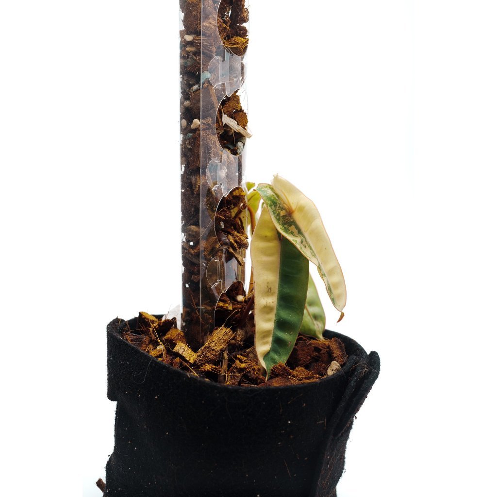 THICCLY GrowPole Small Size 10 Pieces V3.2 Pro