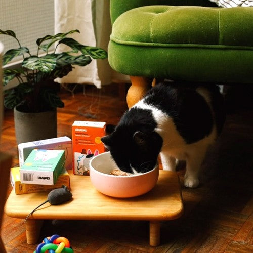 Canumi Natural Fish Toppers - All Flavors for Dogs and Cats